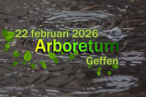 Boomplantdag 22 februari 2026