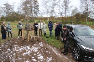 Boomplantdag zondag 23 november 2025