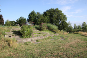 Zomeravond in het Arboretum
